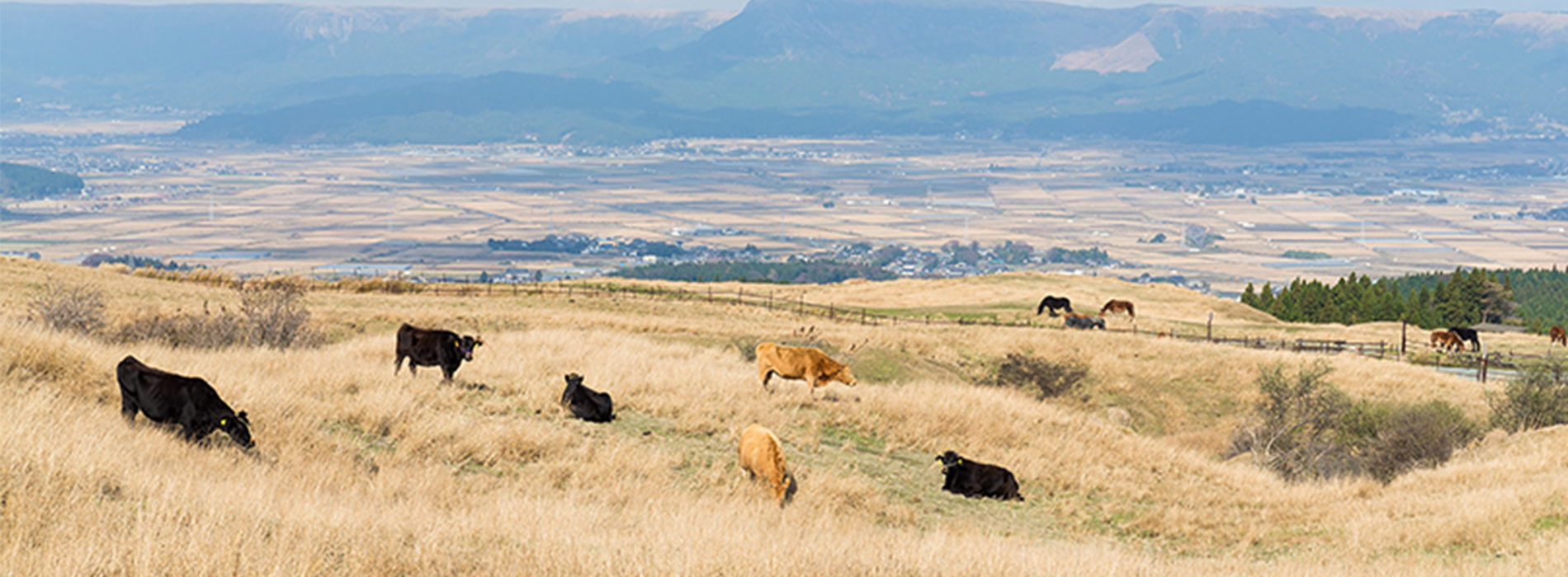 1031 Exchanges for Farm and Ranch