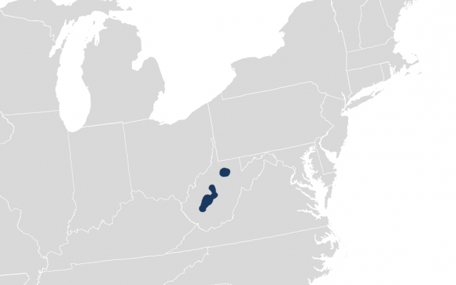 Tax Relief for West Virginia Taxpayers Impacted by Severe Storms and Flooding