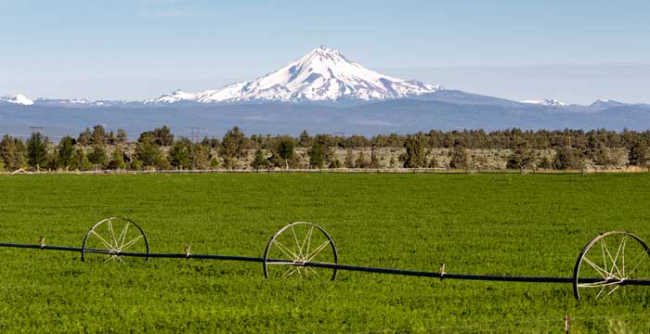 Northwest Farm Credit Services Agricultural Lending Program